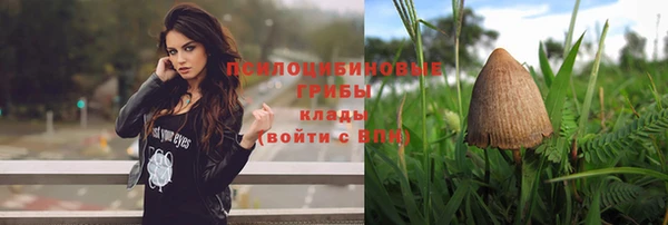 экстази Белокуриха