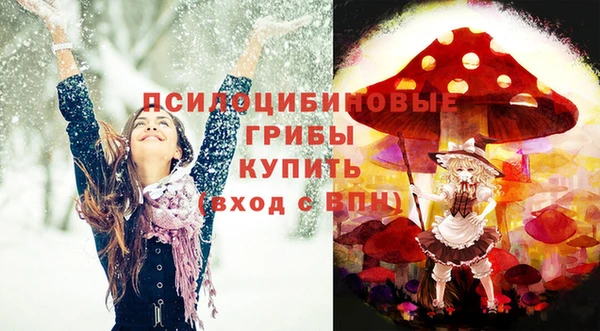 экстази Белокуриха