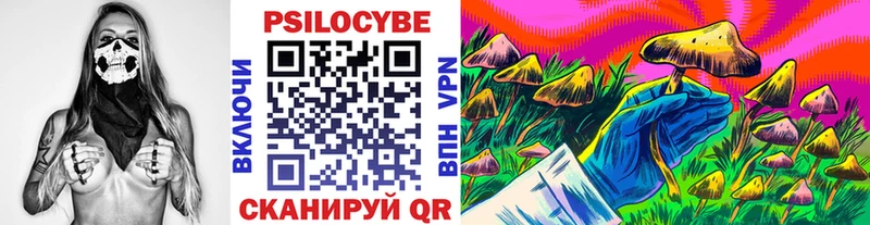 Псилоцибиновые грибы Cubensis  Надым 